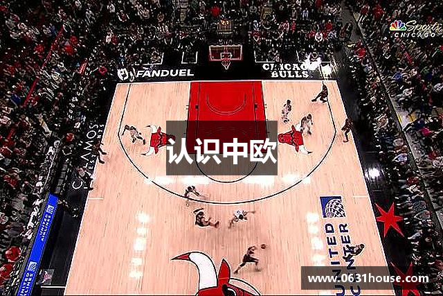 认识中欧